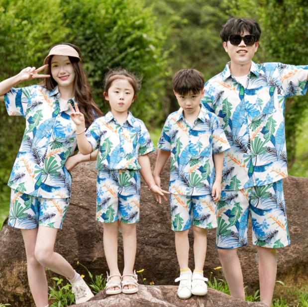Hawaii Set