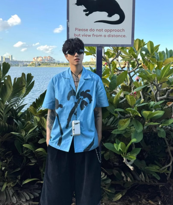 Hawaii Shirt
